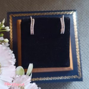 EARNINGS - Image 2
