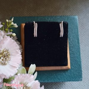 EARNINGS - Image 1