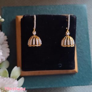 EARNINGS - Image 3