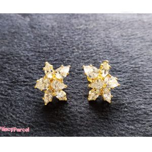 EARNINGS - Image 1
