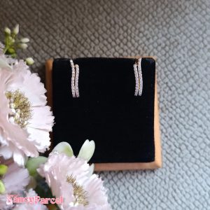 EARNINGS - Image 4